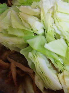 �C�G�p��