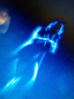 WONDER