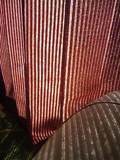 �����Ă������B