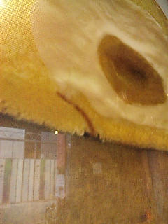 �I���[����