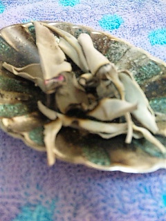 �z���C�g�Z�[�W�B