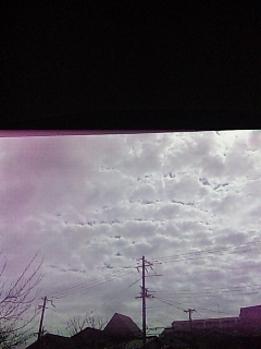 ���o������