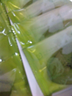 ���Ƃ�悹�B