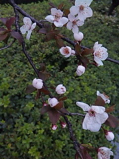 ���傤��101��ځ�