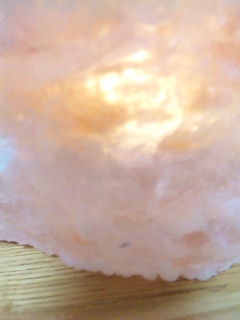 �≖�z���_�[