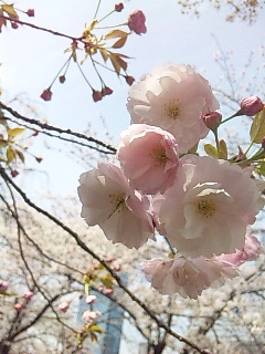�����灙