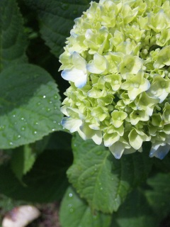 �炫�͂��߁B