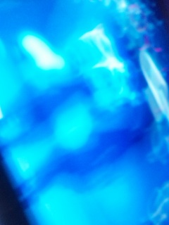 club���B