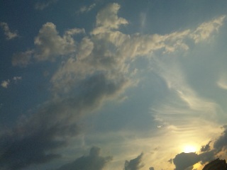 (untitled)