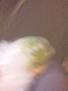 ���Ȃ��������c