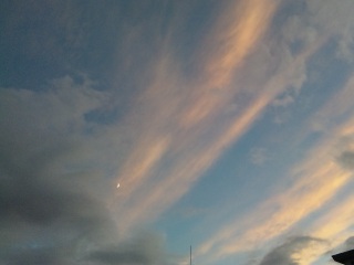 ���߂�����B