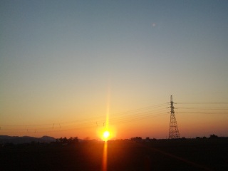 (untitled)