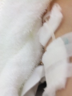 (untitled)
