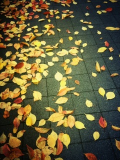 (untitled)