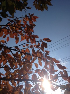 (untitled)