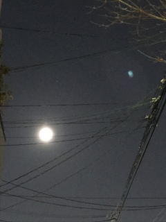 �A�蓹�B