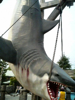 JAWS��