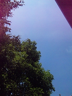 ���Ă����Ɓ[