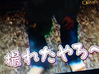 �B�ꂽ���`