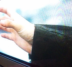 ���[����̎�