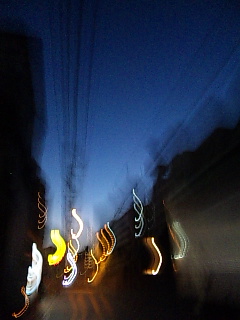 ������݂��B