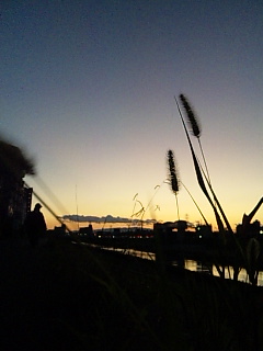 �I�����W�Ɖe