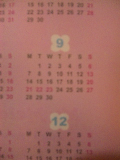 ���ɂ���B