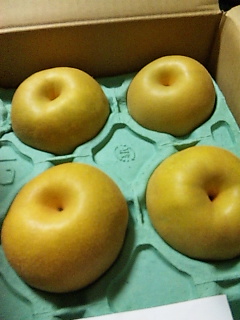 �H�̂ɂ����B