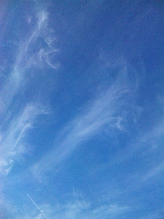 �肪������q�قǁB